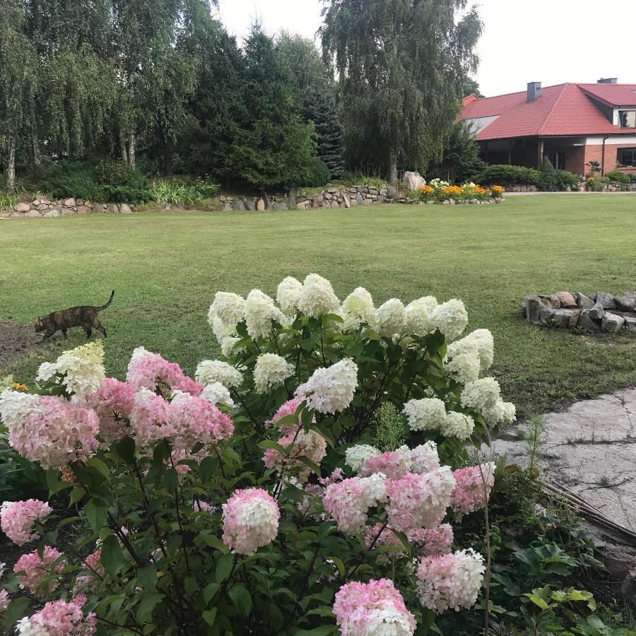 Na Mazurach. Homestay