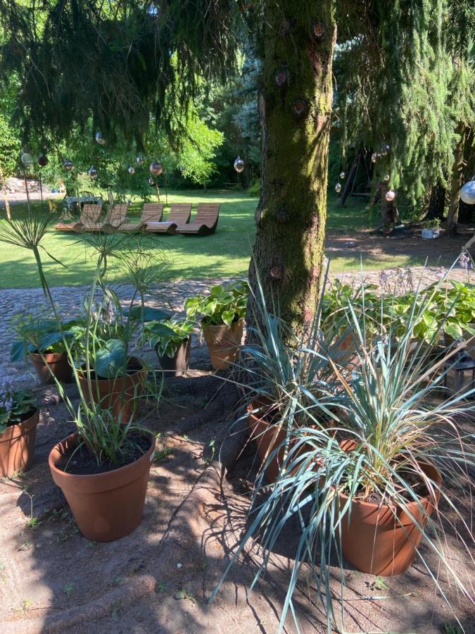 Homestay Na Mazurach. Olsztynek