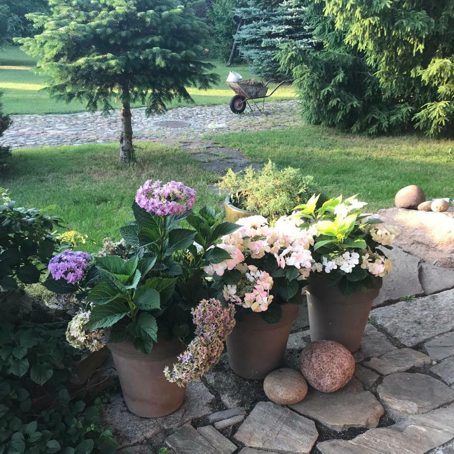 Homestay Na Mazurach. Olsztynek